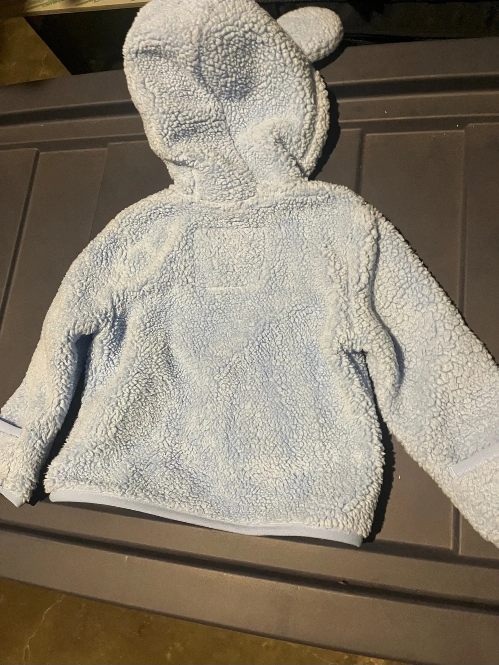 The North Face Light Blue Kids Sherpa Zip Hoodie
